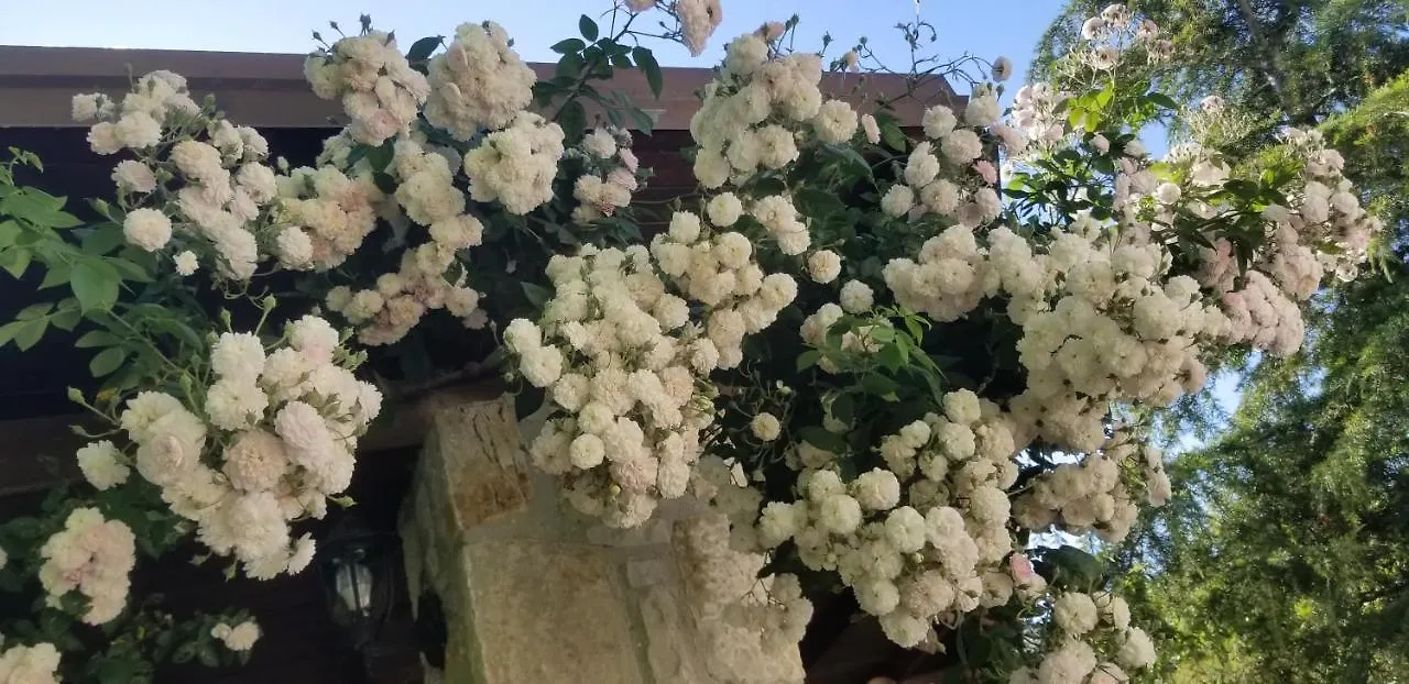 Country House Bubullime Albania Lushnje Вилла