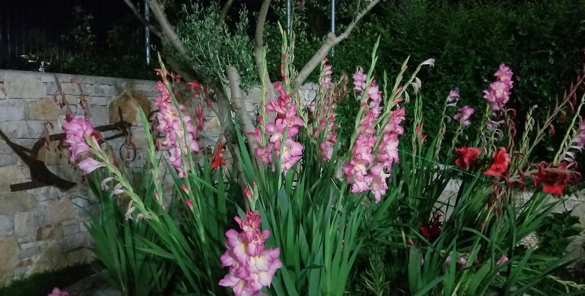 Вилла Country House Bubullime Albania Lushnje