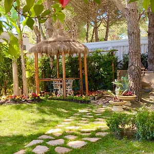  Apartment Garden Paradise
