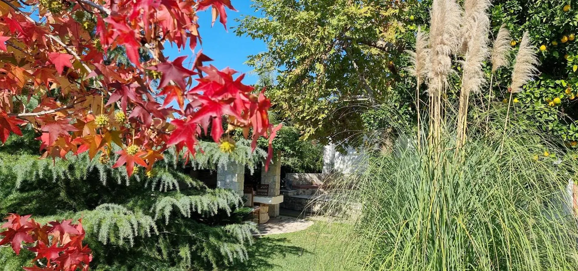 Country House Bubullime Albania Lushnje Villa